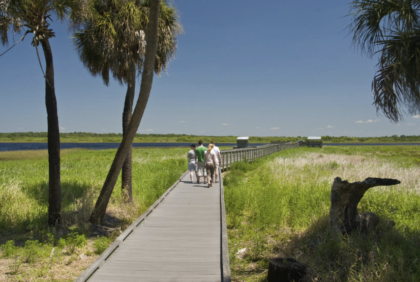 Discover the Natural Beauty of Venice Myakka River Park